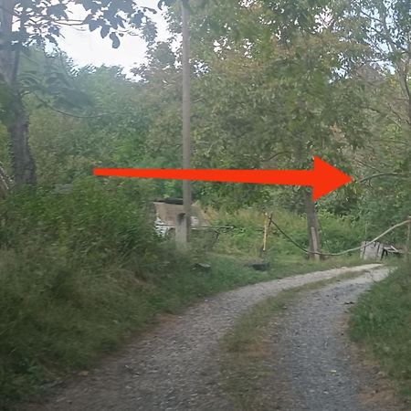 Parraghegy Apartman Villa Zalaszanto Esterno foto
